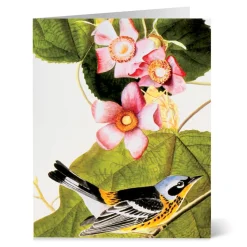 Audubon Birds Notecards