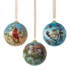 Birds of America Hand-Painted Glass Ornament Set