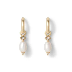 Royal Tudor Small Hoop Earrings with Pearls