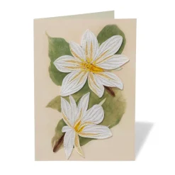 Studies of Magnolias Quilled Card