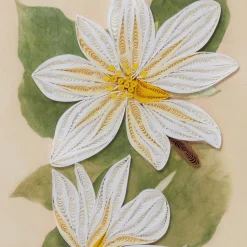 Studies of Magnolias Quilled Card